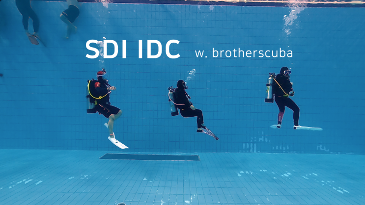 SDI 강사 개발 과정 (IDC) & 평가 과정 (IEC) by 브라더스쿠바 : 네이버 블로그