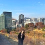 서울 남산공원 가을 단풍나들이 | 서울로7017 근처 도보 단풍구경