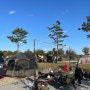 [충주]목계솔밭 캠핑장 C44 일반사이트