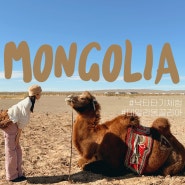 몽골 여행 코스 #3 : 낙타 타기 체험 준비물 / 게르 여행자 캠프 숙소 내부 / 데일리몽골리아