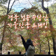 [경북 청송 주왕산] 가을단풍 트래킹코스 추천 (원점회귀 X) 부산 솔바람산악회 후기