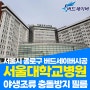 서울시 종로구 서울대학교병원 야생조류충돌방지 필름 버드세이버 시공