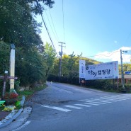 [경기도] 2년 연속 할로윈 캠핑은 달인캠핑장!! <1탄>