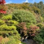 [경기도 광주 곤지암 화담숲] 10/23일 실시간 단풍상황