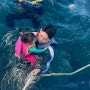 17개월 아이와 괌여행/괌 액티비티 괌 투어 돌핀크루즈 스노쿨링 선상낚시체험