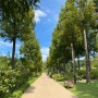 아기랑 서울 구로 항동 푸른수목원 : 유모차 산책하기 좋은 수목원, 저렴한 주차비