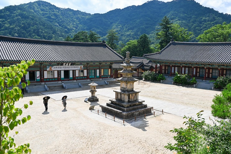 사찰 경남 절 합천 해인사 팔만대장경 가야산 소리길 : 네이버 블로그