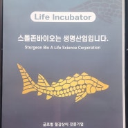 충북을 빛낼 글로벌 철갑상어 전문기업 스톨존바이오(주)