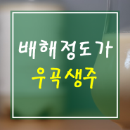 배해정도가 막걸리 우곡생주