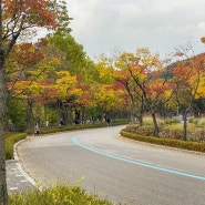 가을 과천 단풍 명소, 서울 대공원 동물원