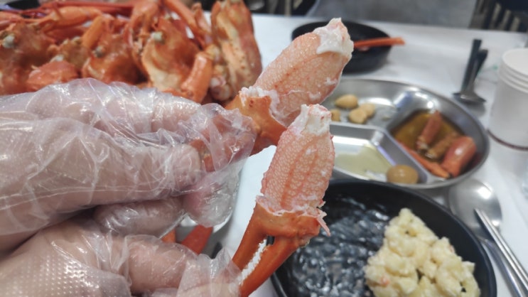 속초 미쓰홍게, 무한리필 홍게 크고 수율 좋은 지금이 딱! 게내장볶음밥, 홍게라면까지 내돈내산 후기 : 네이버 블로그