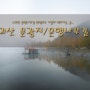 충북/괴산/가볼 만한 곳/문광지/은행나무길
