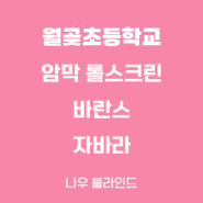 나우 블라인드[김포 블라인드] 김포월곶초등학교 암막 롤스크린, 바란스, 자바라 시공사례