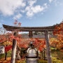 일본이야기_교토의 가을과 단풍_교토단풍명소#1 Summary