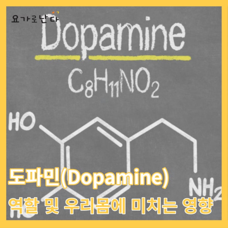 도파민(dopamine)_ 도파민 역할 _ 낮은 도파민 증상 _ 높은 도파민 증상 _ 도파민 작용제 _ 도파민 길항제 _ 약물 ...