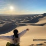 몽골 고비사막 6박7일 투어 3일차 홍고린엘스에서 모래썰매 잼땅
