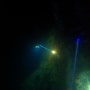 [제주도 스쿠버 다이빙] 조이다이브 : 바다의 새로운 모습을 볼 수 있는 나이트 다이빙