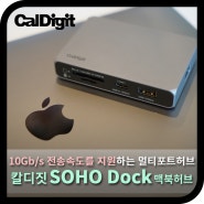 10Gb/s 대역폭을 지원하는, 칼디짓 소호독(SOHO Dock) 맥북허브 (사용기)