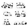 팬더 캐릭터 스케치 그림자료 Panda Character Sketch