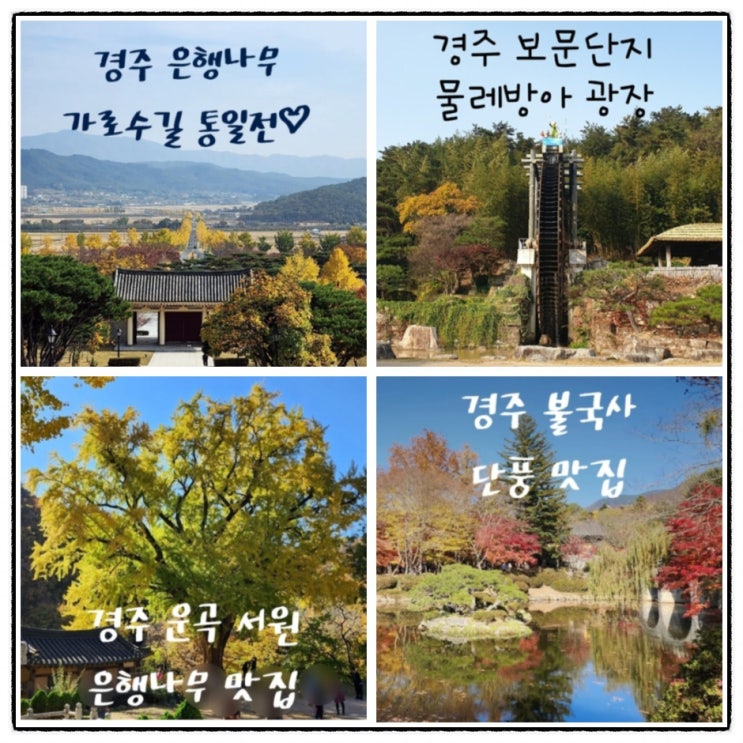 경주 단풍 명소 단풍시기 ,경주가볼만한곳 : 네이버 블로그