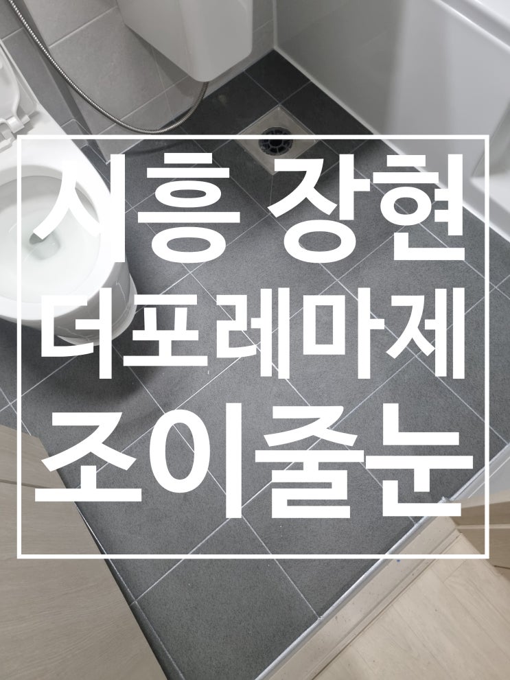 시흥장현 더포레마제 대표 시공 사진