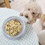 강아지 달걀 수제간식 스크램블 토핑 만들기