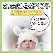2024년 출산 지원금 혜택 부모급여 아동수당 실화?