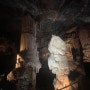 [6일차 23.07.16]발칸3국 24일 여행(슬로베니아 포스토이나 동굴,프레드야마 성,이탈리아 트리에스테)