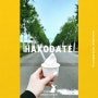 [2023년 두 번째 홋카이도 자유여행] 하코다테 5월 300m 겹벚꽃터널 Ishizakijinushikai / 고속도로 전망좋은 휴게소 / 목장 아이스크림 맛집 추천