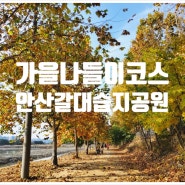 안산갈대습지공원 이용시간 아이와 가볼만한곳 데이트코스 서울근교나들이