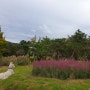 들꽃수목원 양평 가볼만한곳 가을 풍경