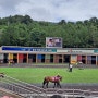 [부산이색데이트]렛츠런파크 부산 아이들과 가볼만 한 곳