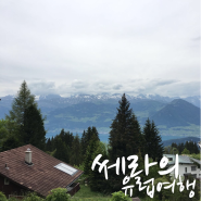 [쎄라의유럽여행]DAY10 루체른 part.1 리기산(Rigi Kulm)