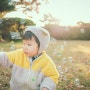 [아빠가 쓰는 사진일기] 가을엔 영흥도