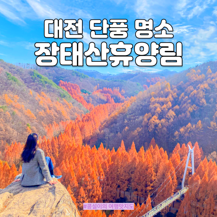 대전 장태산자연휴양림 단풍 명소 시기 포토존 가을 여행지