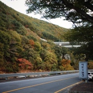 울산 배내골 캠핑장 애견 동반이 가능한 아트앤오토캠핑장 리뷰