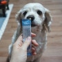 세계 유일 특허출원 기능성 영양 캡슐 엣츠 마싯츄 스틱형 강아지영양제 기호성 괜찮네