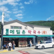 강원 정선 메밀촌막국수 솔직 후기