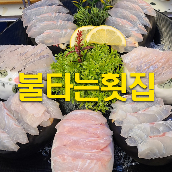 강릉 횟집 경포대해수욕장 모듬회 내돈내산 불타는횟집 : 네이버 블로그