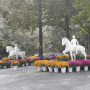 (아산여행 2일차) 아산 피나클랜드 국화꽃 축제, 공세리 성당