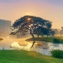 말레이시아 쿠알라룸푸르 골프여행 사우자나CC