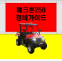 메크론250 정비가이드