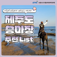 [승마정보] 제주도 외승하기 좋은 승마장 추천 List!