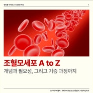 헌혈 커뮤니티 피플과 함께 알아보는 조혈모세포 기증 절차, 유의사항!