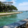 베네치아 본섬 자유여행 수산시장 비엔날레 자르디니 카스텔로 공원