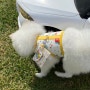 강아지 하네스 '말랑우주선 조끼 목줄' ( 반려동물용품추천, 가슴압박없는하네스, 귀여운하네스 )