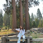 캘리포니아 세쿼이아 국립공원(Sequoia National Park)