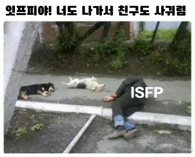 ISFP 특징 팩폭 잇프피 짤 남자 여자 연애 공략법까지 같이 알려드립니다 : 네이버 블로그