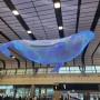 가을여행 최적기, 지금 제주국제공항은? 이상한변호사 우영우의 대형고래 조형물이 인기랍니다.