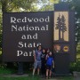 Redwood National Park: 안개가득한 숲